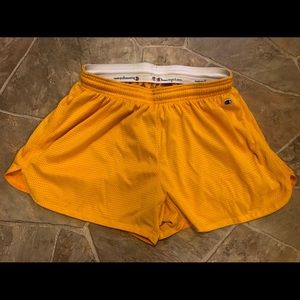 Champion Shorts